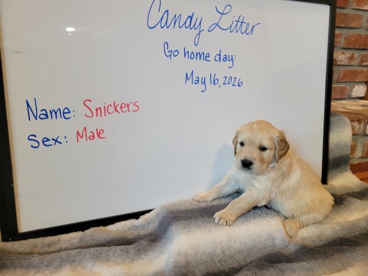 Snickers
