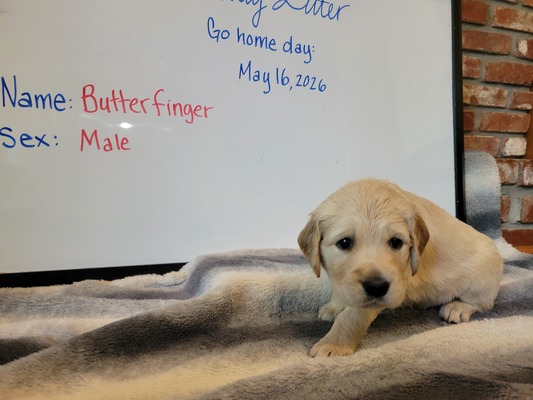 Butterfinger