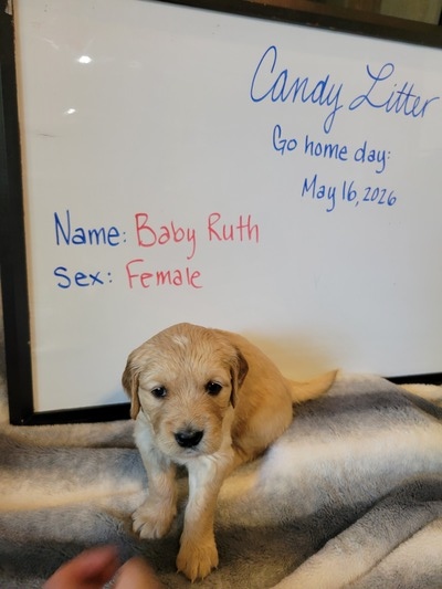 Baby Ruth